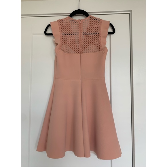 Sandro Blush Mini Dress - Picture 2 of 2